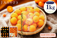 ܂EXCELLENT@ϔ1kgi1ɂ͂j