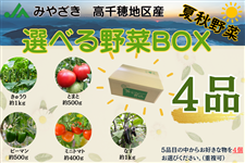 IׂBOX lߍ킹y 4 i z