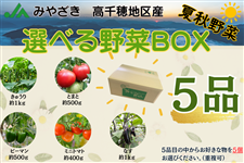 IׂBOX lߍ킹y 5 i z