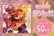 ���i���L�����X�@5�F�~�b�N�X