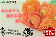 ���i���L�����X�@5�F�~�b�N�X