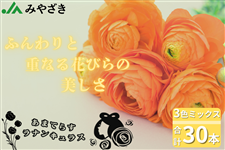 ���i���L�����X�@3�F�~�b�N�X