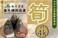 たけのこ 福岡県八女産 約10キロ - メルカリ