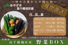 高千穂 夏秋野菜セット（お得な+1）: JAみやざき高千穂直販|【JA