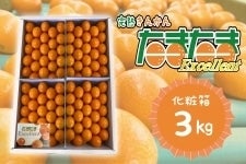 ܂EXCELLENT@ϔ3kg