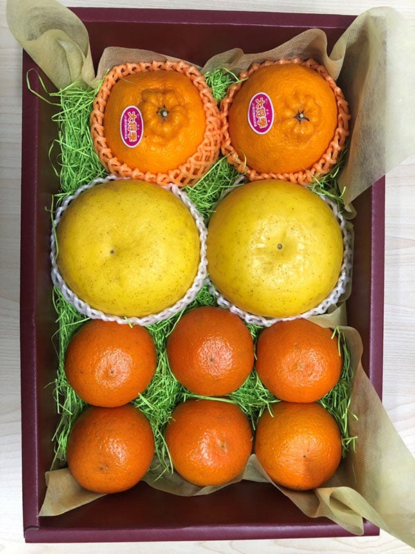 産地直送 通販 お取り寄せ鹿児島県産 果物セット 春 おいどんショップ鹿児島 ｊａタウン