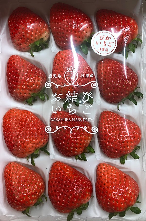 産地直送 通販 お取り寄せ鹿児島県産 いちごセット 限定30セット おいどんショップ鹿児島 ｊａタウン