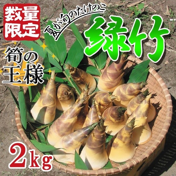 ＪＡさつま日置産　緑竹　２kg