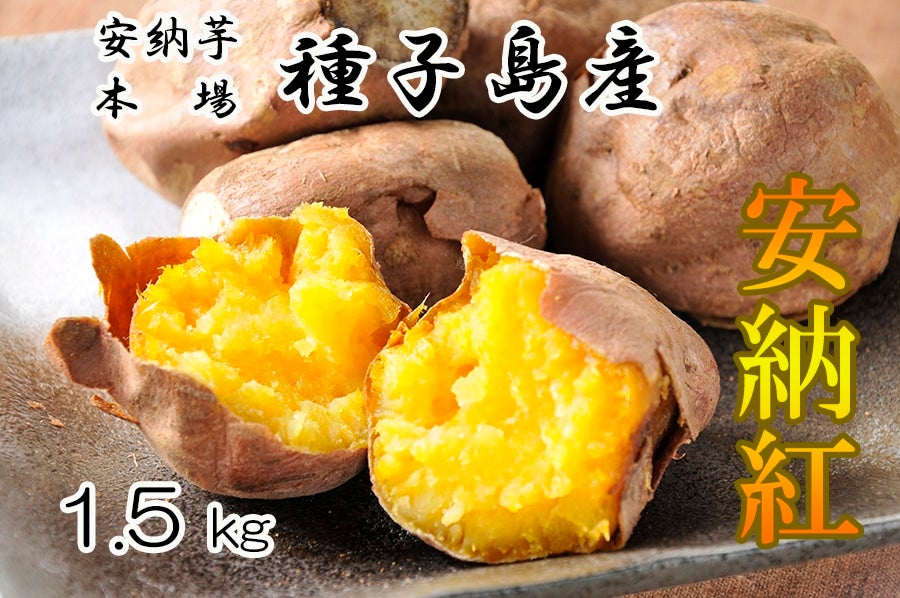 鹿児島県産JA種子屋久 安納紅 1.5kg　秋
