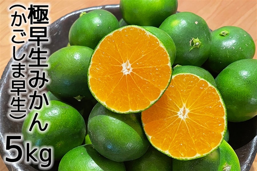 極早生みかん