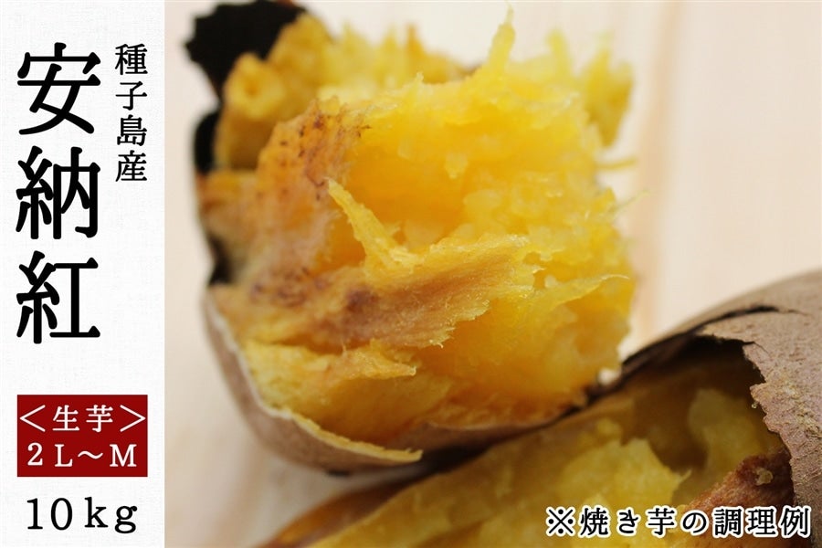 鹿児島産　安納芋　10kg 普通サイズ