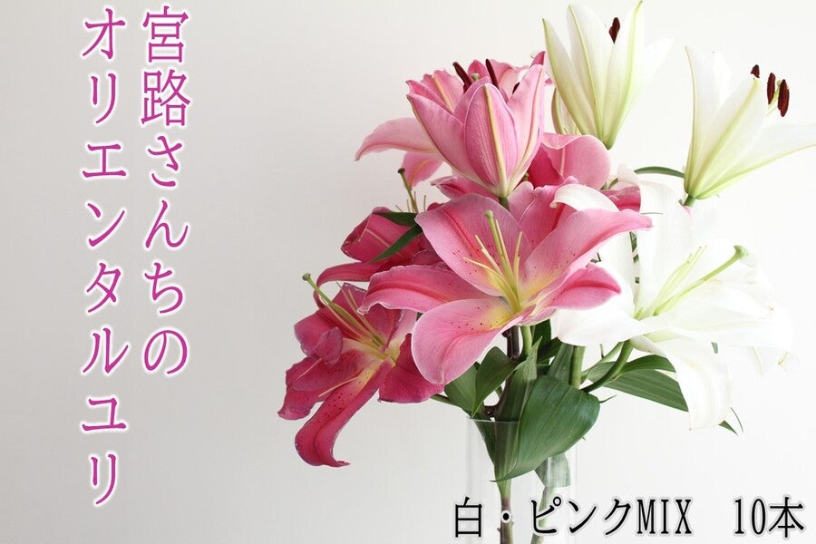産地直送 通販 お取り寄せ宮路さんちのオリエンタルユリ10本 クミショクファーム ｊａタウン