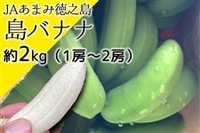 JAあまみ徳之島／島バナナ／約2kg(1〜2房)