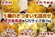鹿児島県産5種のさつまいも詰め合わせ（S2S）おやつ芋サイズ