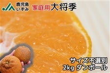 JA݁^ƒp叫G2kg
