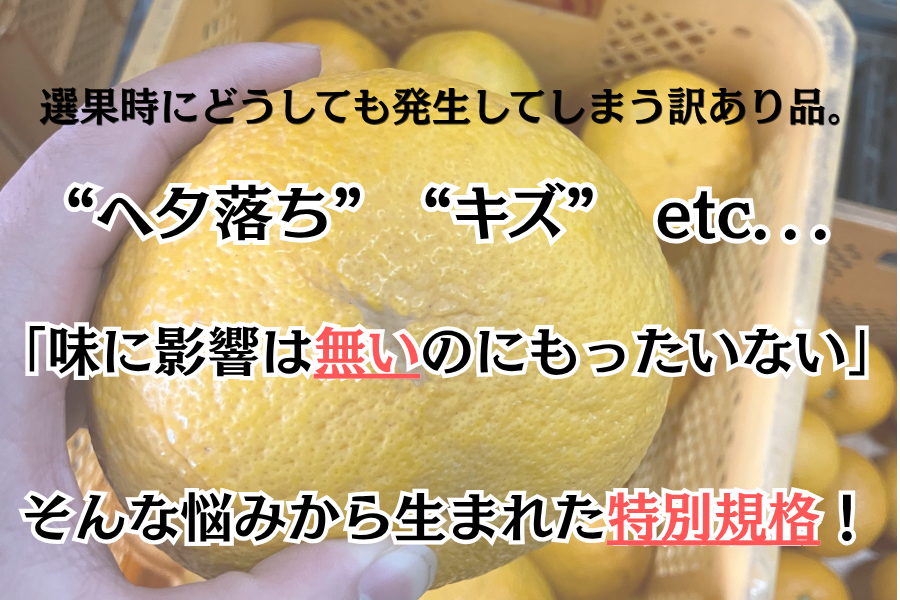 JA鹿児島いずみ/訳あり紅甘夏 10kg