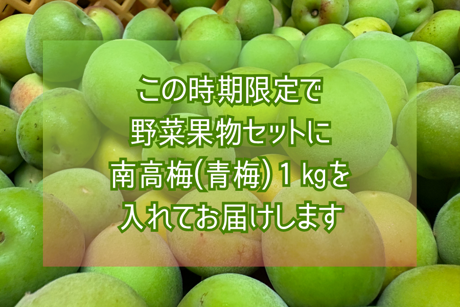 南高梅1kg入り】おいどん市場与次郎館 旬の野菜・果物詰合せ(L): JA