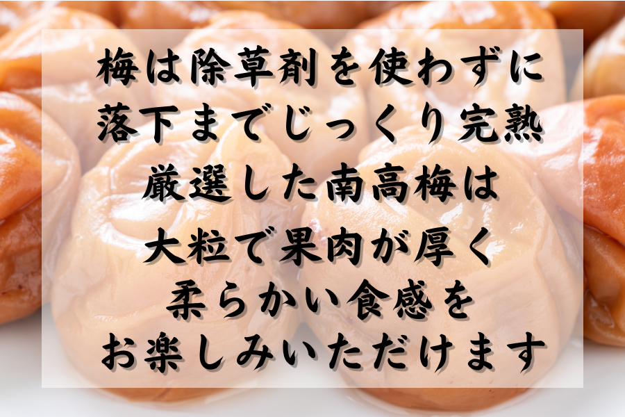 かのや南高梅 梅干しバラエティ6パックセット: JA鹿児島県経済連