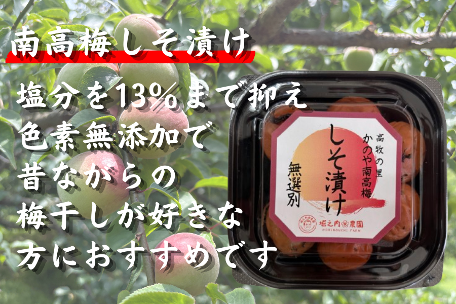 梅06ページ かのや南高梅 梅干しバラエティ6パックセット: JA鹿児島県経済連