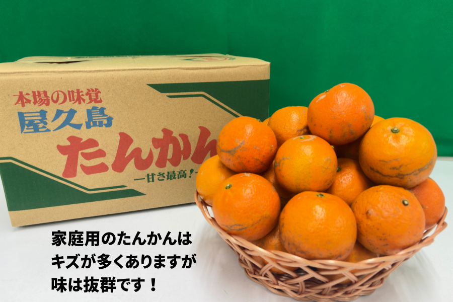 JA種子屋久 屋久島たんかん5kg(家庭用): JA鹿児島県経済連 鹿児島の