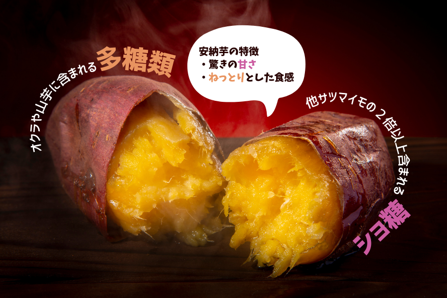 関東より発送】種子島産安納芋(こがね)2.5kg（2L～M）: JA鹿児島県