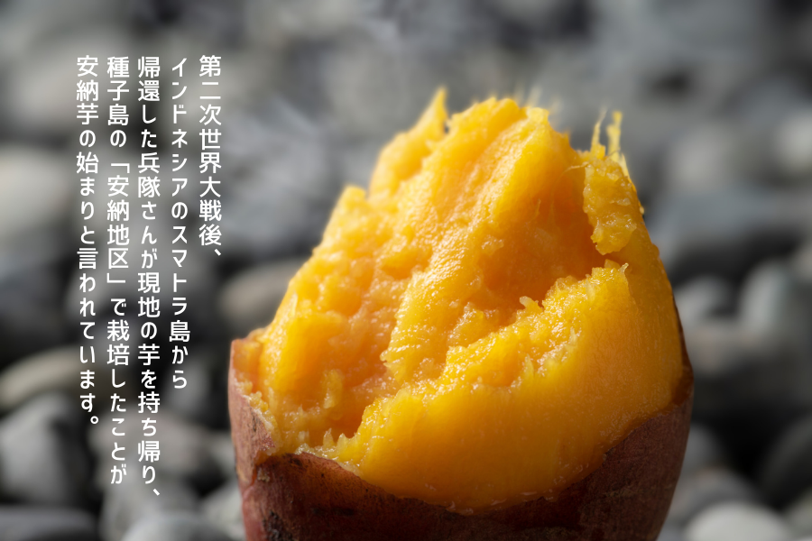 種子島産 安納芋 1.4キロ