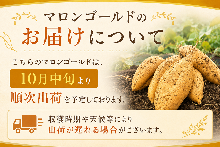maronさま専用ページ 鹿児島県指宿産マロンゴールド3kg: JA鹿児島県経済連 鹿児島の味