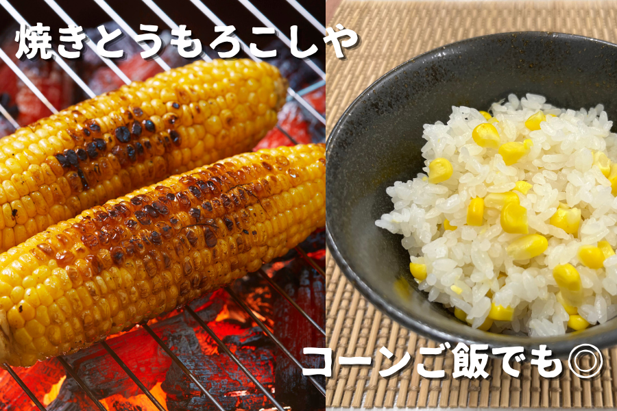 喜入のスイートコーン「サニーショコラ」約5kg【数量限定100個】: JA