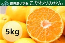 JA݁^݂^5kg