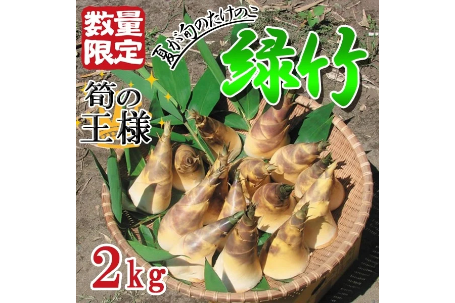 JAさつま日置 緑竹たけのこ 2kg: JA鹿児島県経済連 鹿児島