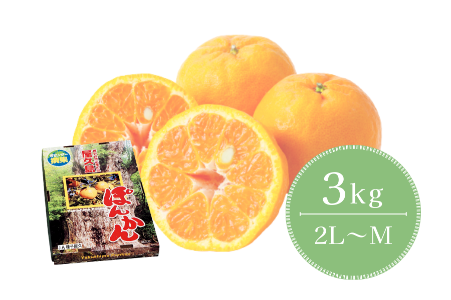 JA種子屋久 屋久島ぽんかん3kg: JA鹿児島県経済連 鹿児島の味