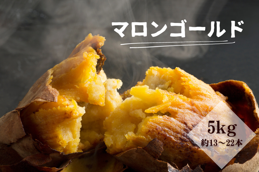 秋のJAタウン祭り】鹿児島県指宿産マロンゴールド5kg: JA鹿児島県