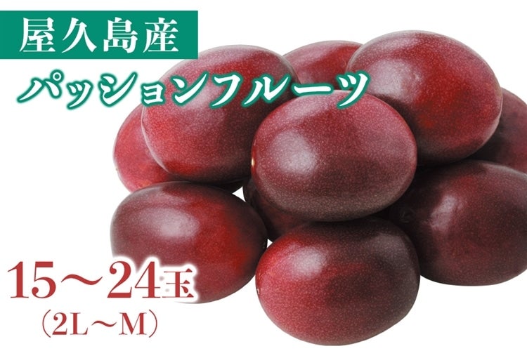 産地直送 通販 お取り寄せ屋久島産パッションフルーツ ふるさと便 ｊａ鹿児島県経済連 鹿児島の味 ふるさと便 ｊａタウン
