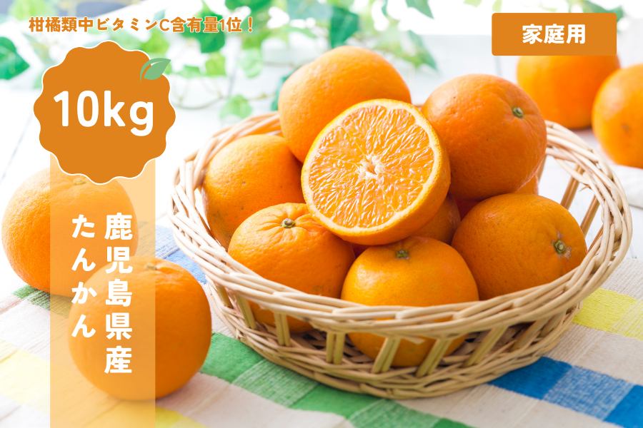 【早割5%OFF】鹿児島県産たんかん10kg(家庭用)