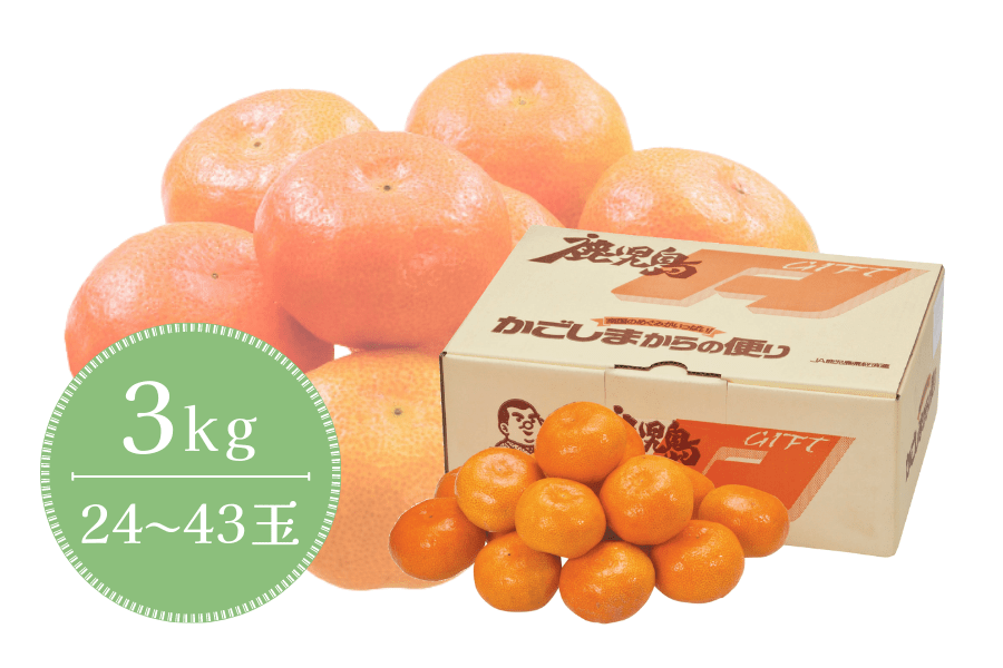 最大78%OFFクーポン 甘～い 訳あり ハウスみかん 5kg e