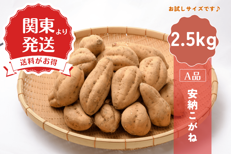 関東より発送】種子島産安納芋(こがね)2.5kg（2L～M）: JA鹿児島県