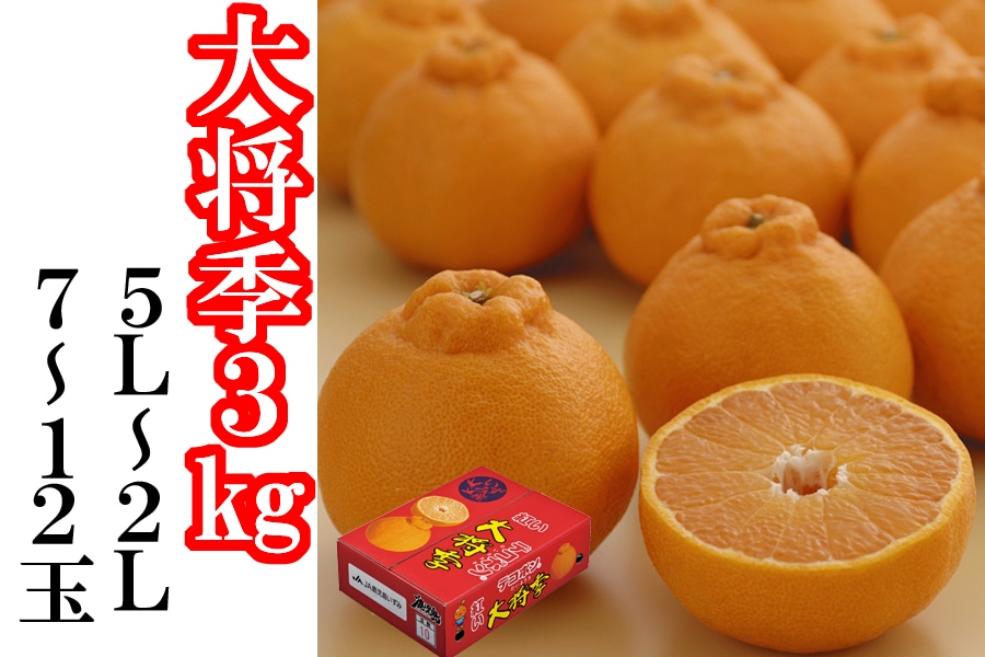 【中古】 郷土に根づいた産物と商魂 プレスリリース 2023年10月24日【JAタウン】産地直送 通販 お取り寄せ