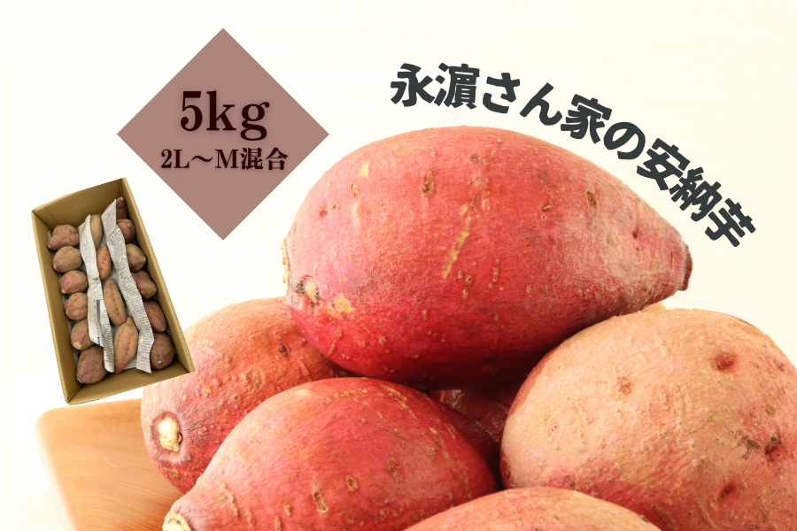 【絶品】種子島産  安納芋L 5kg(箱別)