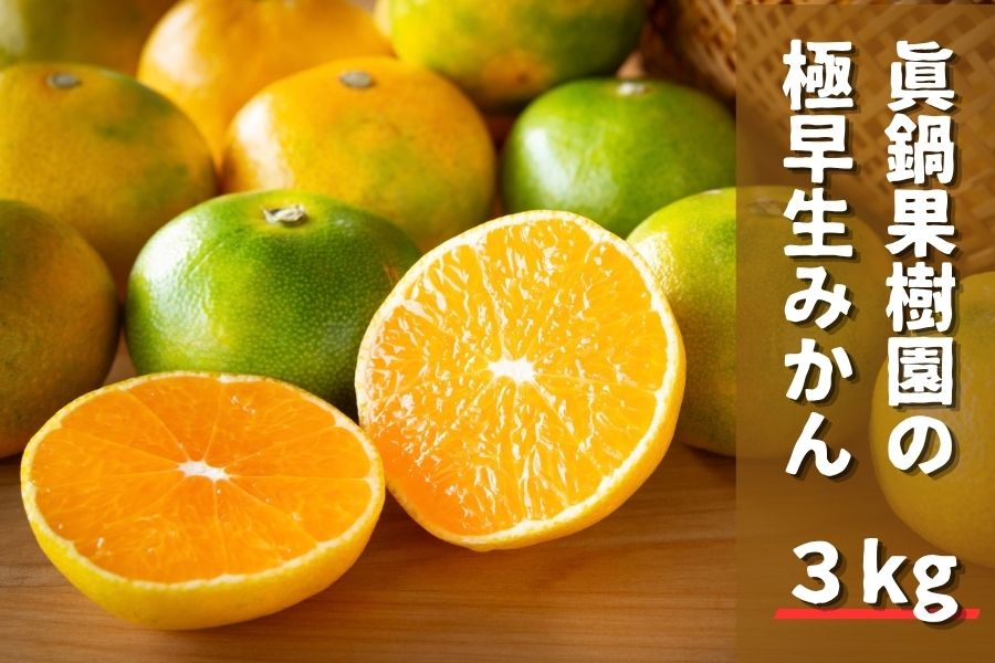 眞鍋農園の極早生みかん3kg: JA鹿児島県経済連 鹿児島の味