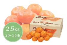  YnEX݂ 2.5kg