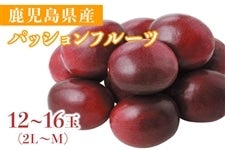YpbVt[cuӂ邳ƕցv