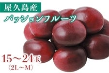 vYpbVt[cuӂ邳ƕցv