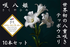 �甪�P�i������Ђ߁j10�{�y���E���̔��d�炫�e�b�|�E�����z