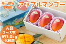 アップルマンゴー ／2～3玉約1kg化粧箱: JA鹿児島県経済連 鹿児島の