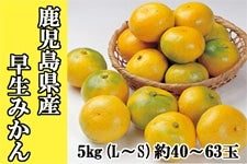 Y݂5kguӂ邳ƕցv