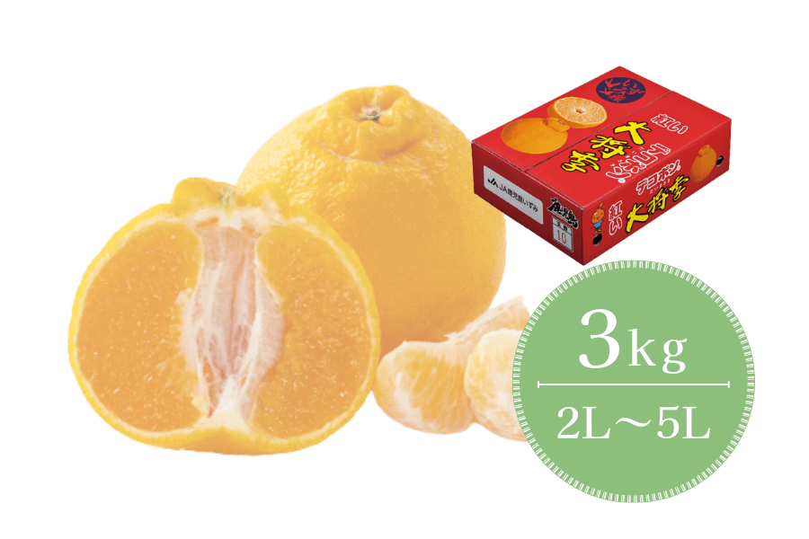 Y 叫G3kg