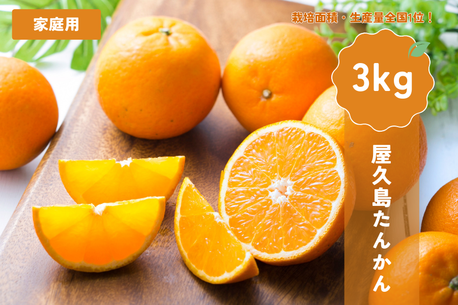 �y����5��OFF�zJA��q���v ���v�����񂩂�3kg(�ƒ�p)