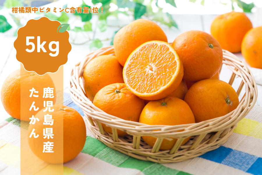 �y����5��OFF�z���������Y���񂩂�5kg