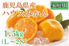【お中元】鹿児島県産ハウスみかん(家庭用) 1.5kg「ふるさと便」