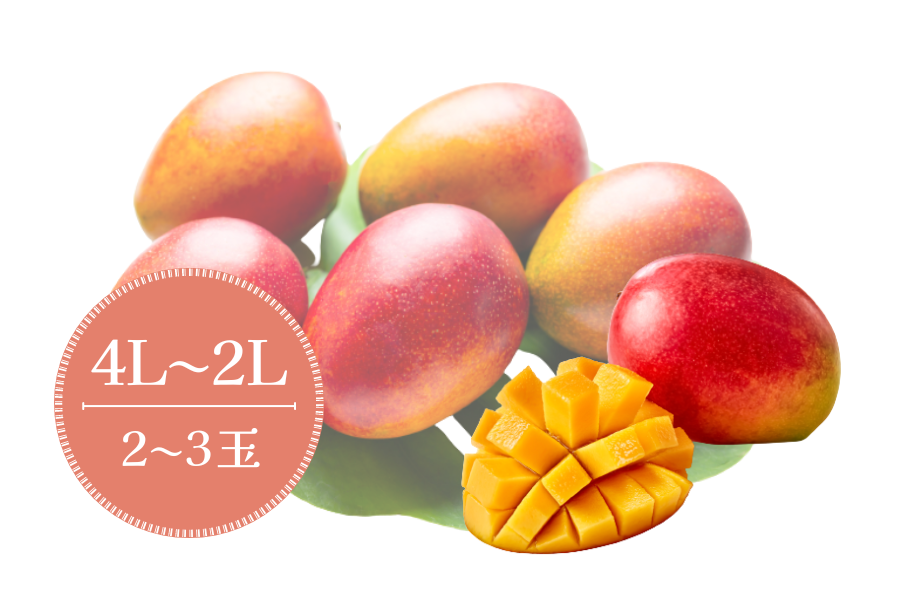yzY}S[ϔuӂ邳ƕցv